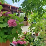 Feher Rozsa Apartment Cserszegtomaj