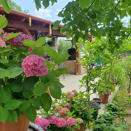 Feher Rozsa Apartmán Cserszegtomaj