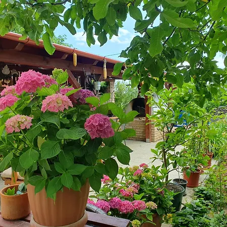 Feher Rozsa Apartment *