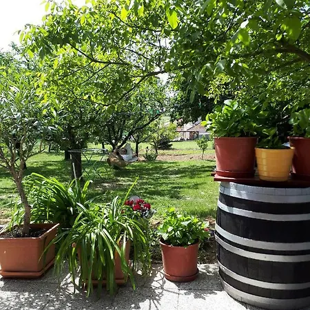 Feher Rozsa *
