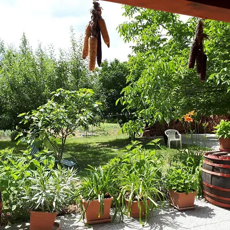 Feher Rozsa Apartment