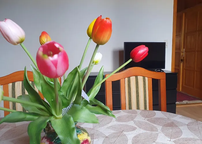 Feher Rozsa * צ'רסגטומאי