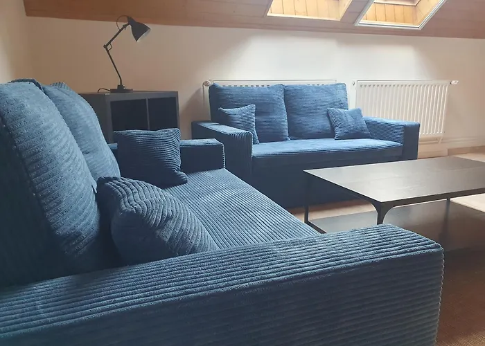 Feher Rozsa تشيرستوموي