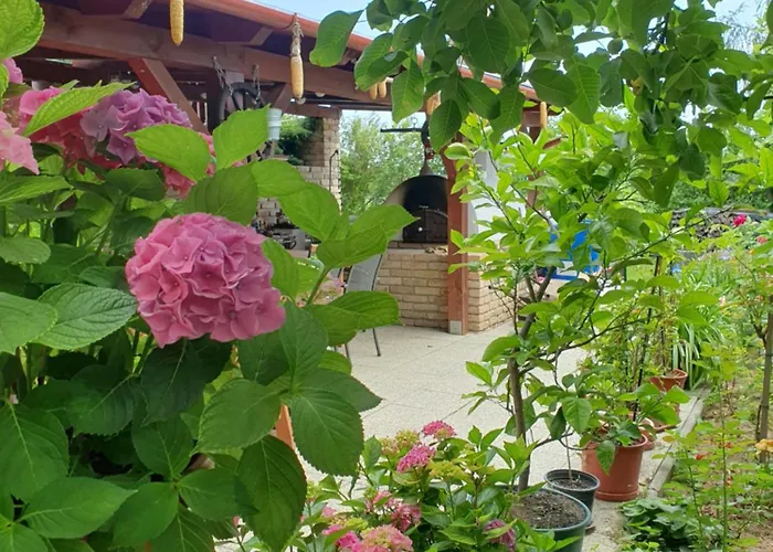 Feher Rozsa דירה צ'רסגטומאי