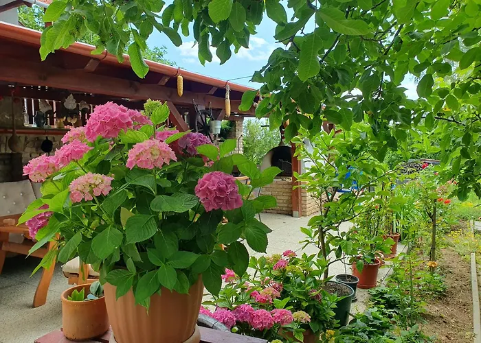 Feher Rozsa شقة *