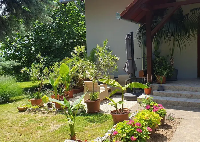 Feher Rozsa شقة تشيرستوموي