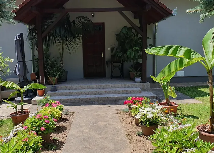 Feher Rozsa تشيرستوموي