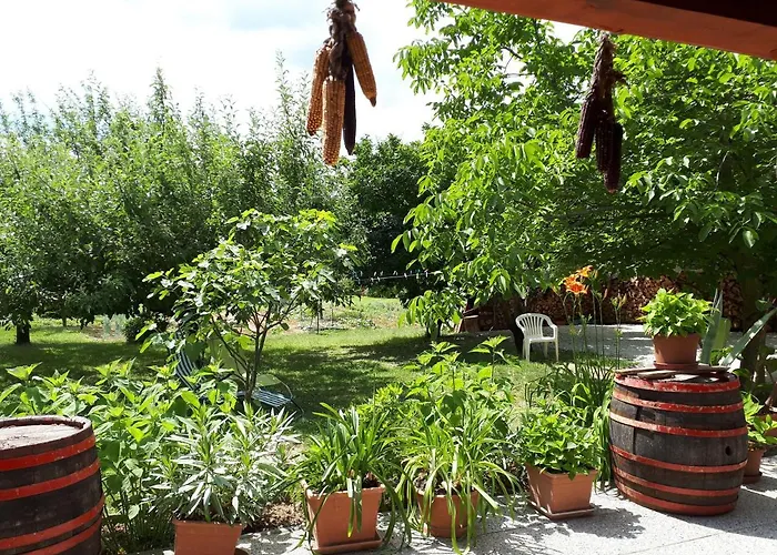 Feher Rozsa דירה